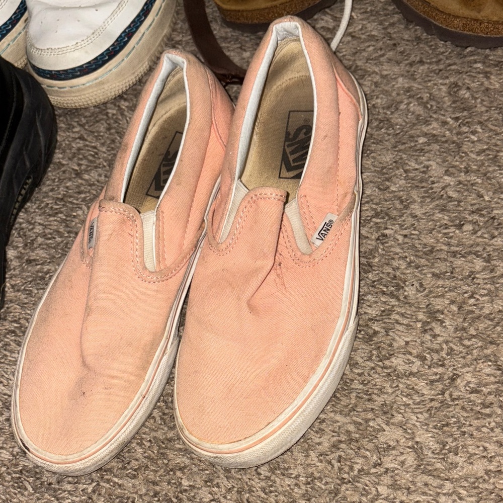 Vans Coral Slip-On Shoes